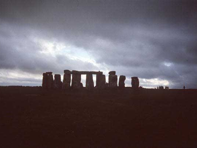 Druids