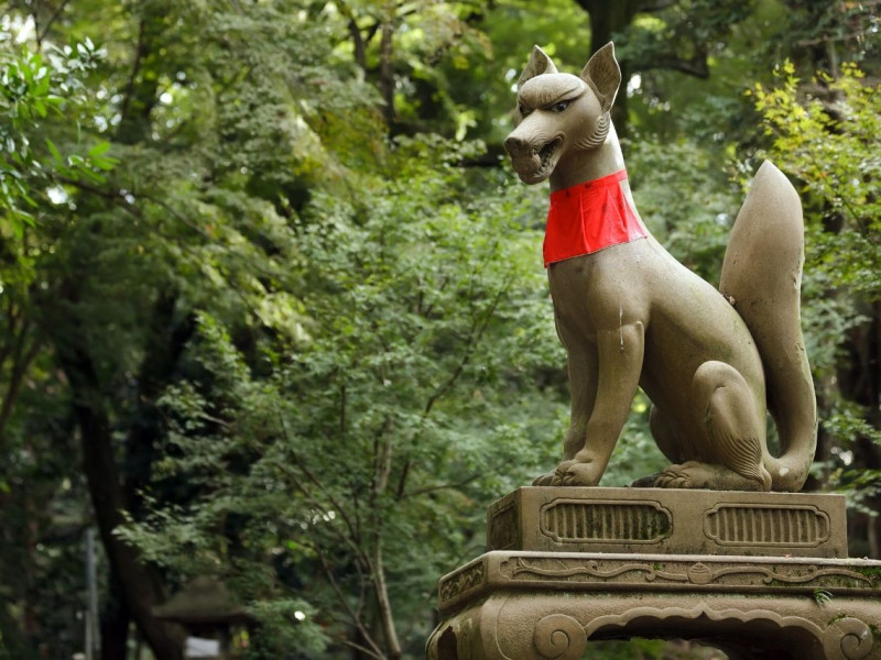 Inari