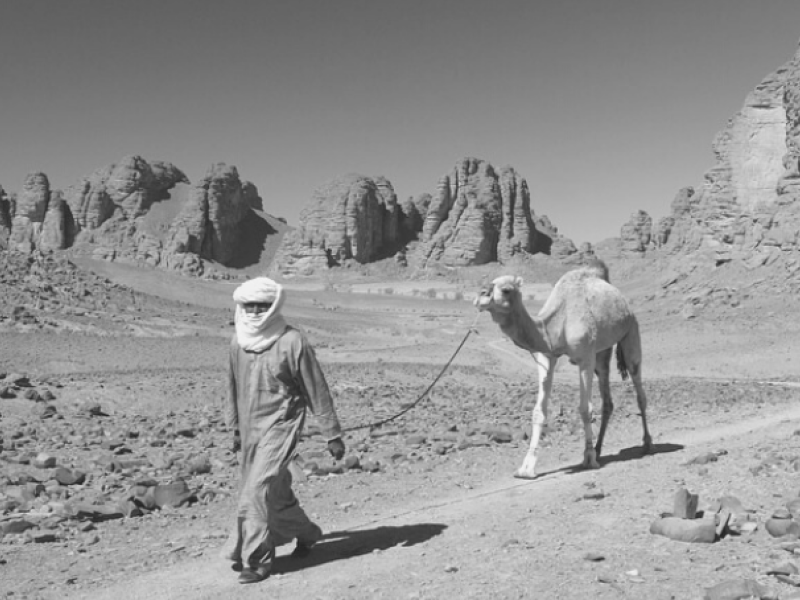 Algeria: A History of Struggle and Independence