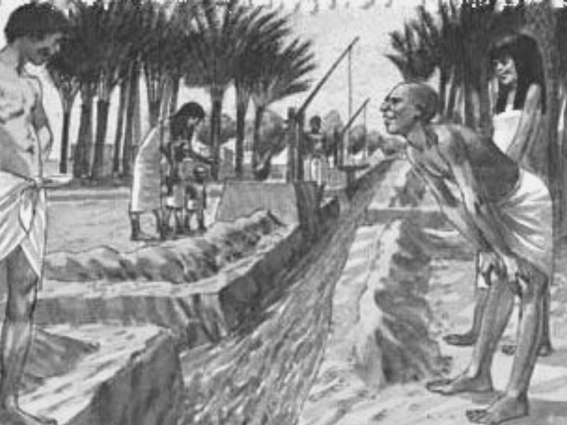 Mesopotamia Irrigation: The Promise of a Bountiful Harvest