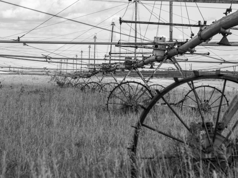 Why Did the Mesopotamians Create Irrigation Systems: Here’s the Truth