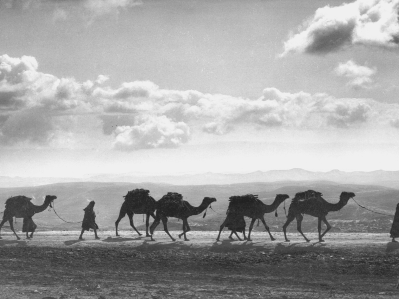 Palestine's History: A Country on the Crossroads of Faith