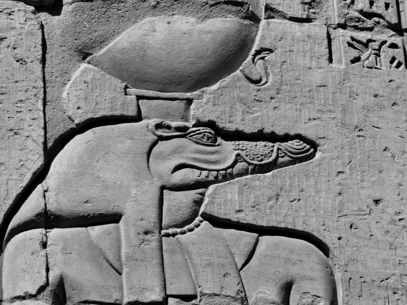 Sobek: The Powerful Half-Animal Ward of Osiris and Isis