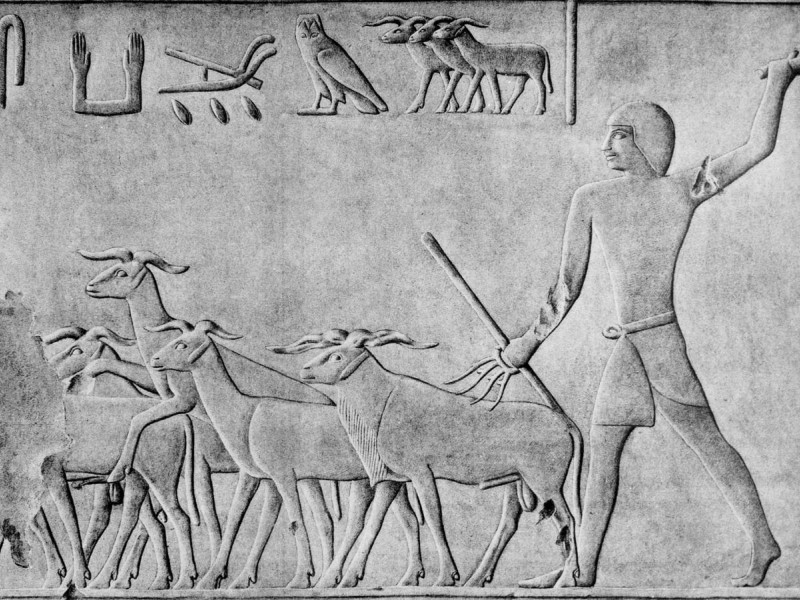 Why Were Shepherds an Abomination to Egypt? Four Compelling Theories