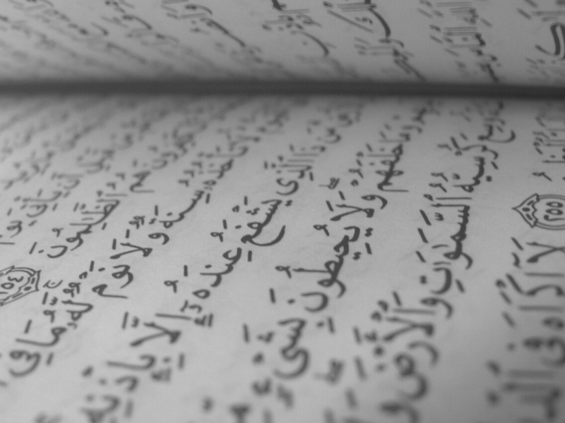 Fatwa | Understanding Legal Opinions on Ethics & Morals